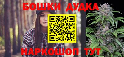 молекула духа Краснознаменск