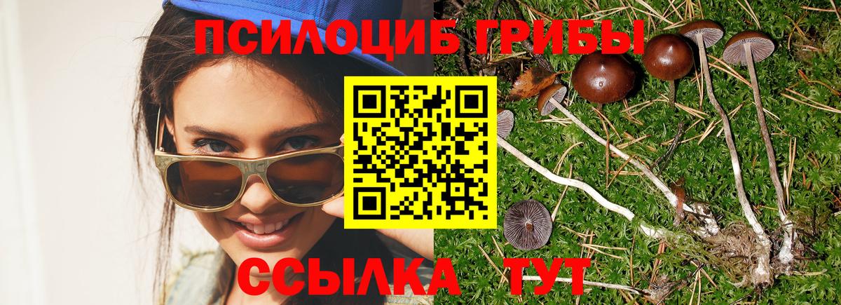 Псилоцибиновые грибы мухоморы  Галлюциногенные грибы Psilocybine cubensis  Электрогорск  что такое наркотик  Вход с VPN 