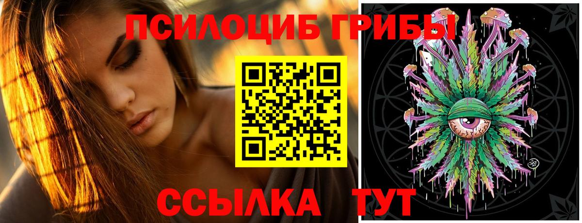 Псилоцибиновые грибы ЛСД Электрогорск